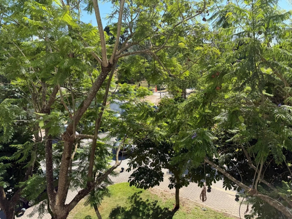 Apartamento T2 para Venda em Requeixo, Nossa Senhora de Fátima e Nariz Foto 14