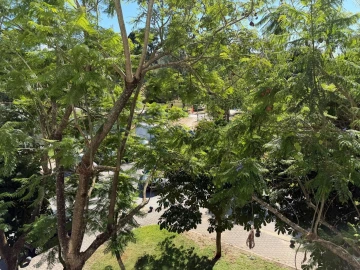 Apartamento T2 para Venda em Requeixo, Nossa Senhora de Fátima e Nariz