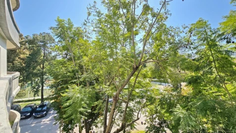 Apartamento T2 para Venda em Glória e Vera Cruz