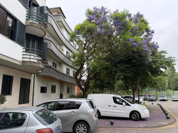 Apartamento T2 para Venda em Requeixo, Nossa Senhora de Fátima e Nariz Foto 5