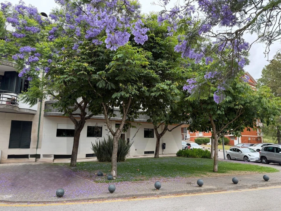 Apartamento T2 para Venda em Requeixo, Nossa Senhora de Fátima e Nariz Foto 4
