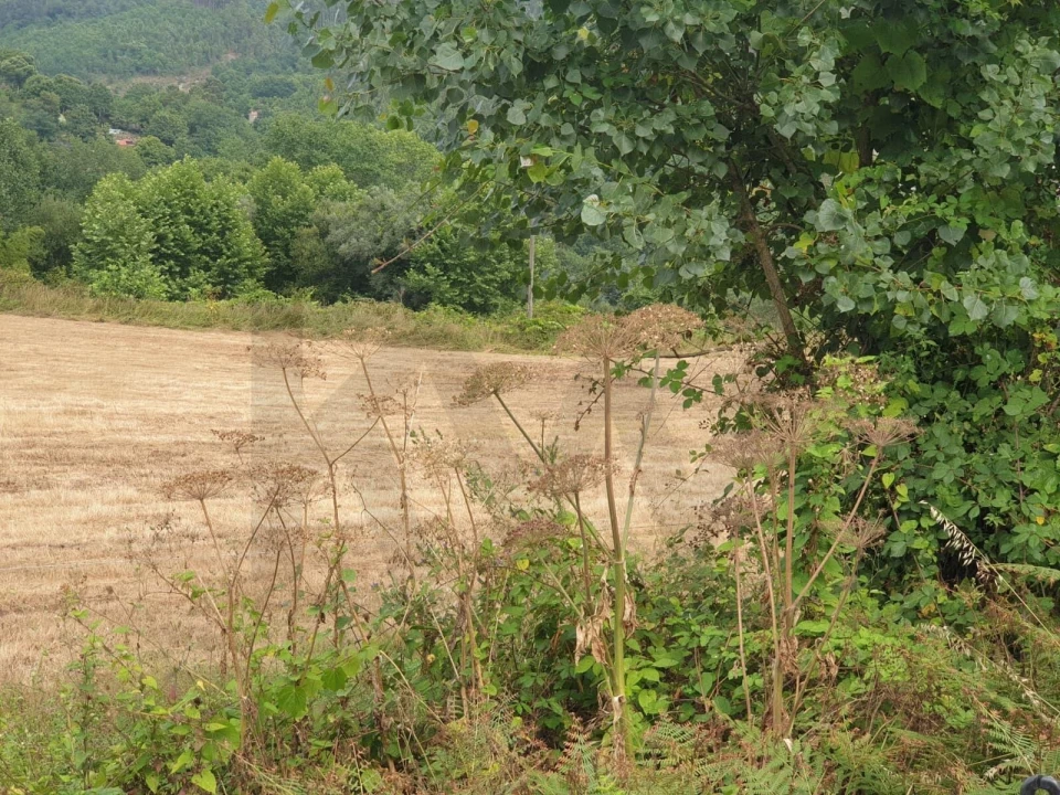Terreno para Venda em Mosteiro Foto 2