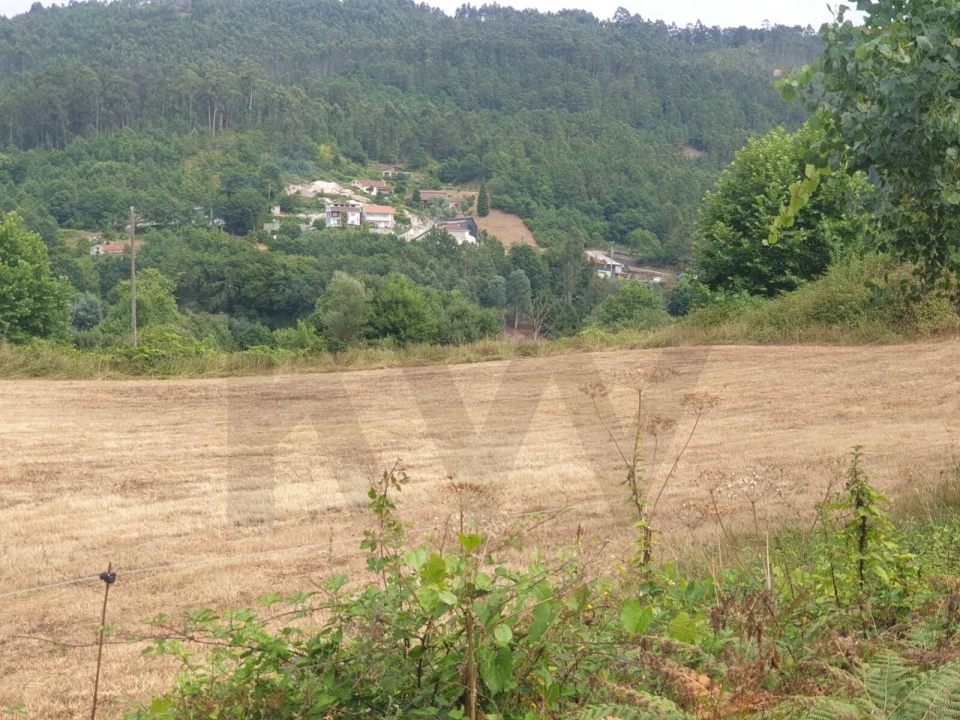 Terreno para Venda em Mosteiro Foto 1
