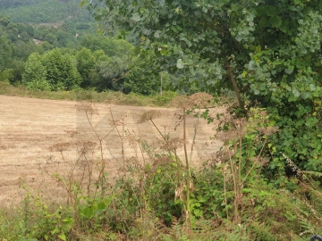 Terreno para Venda em Mosteiro