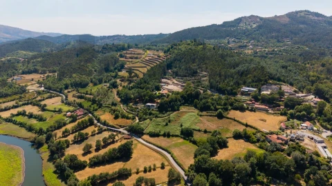 Terreno para Venda em Mosteiro