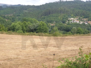 Terreno para Venda em Mosteiro