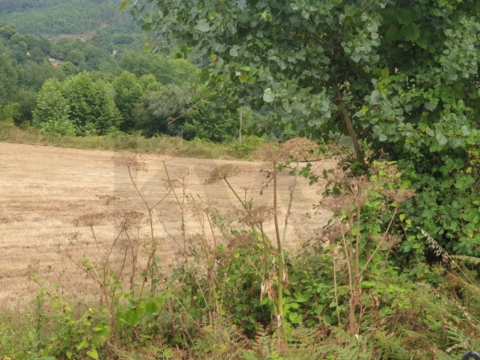 Terreno para Venda em Mosteiro Foto 2