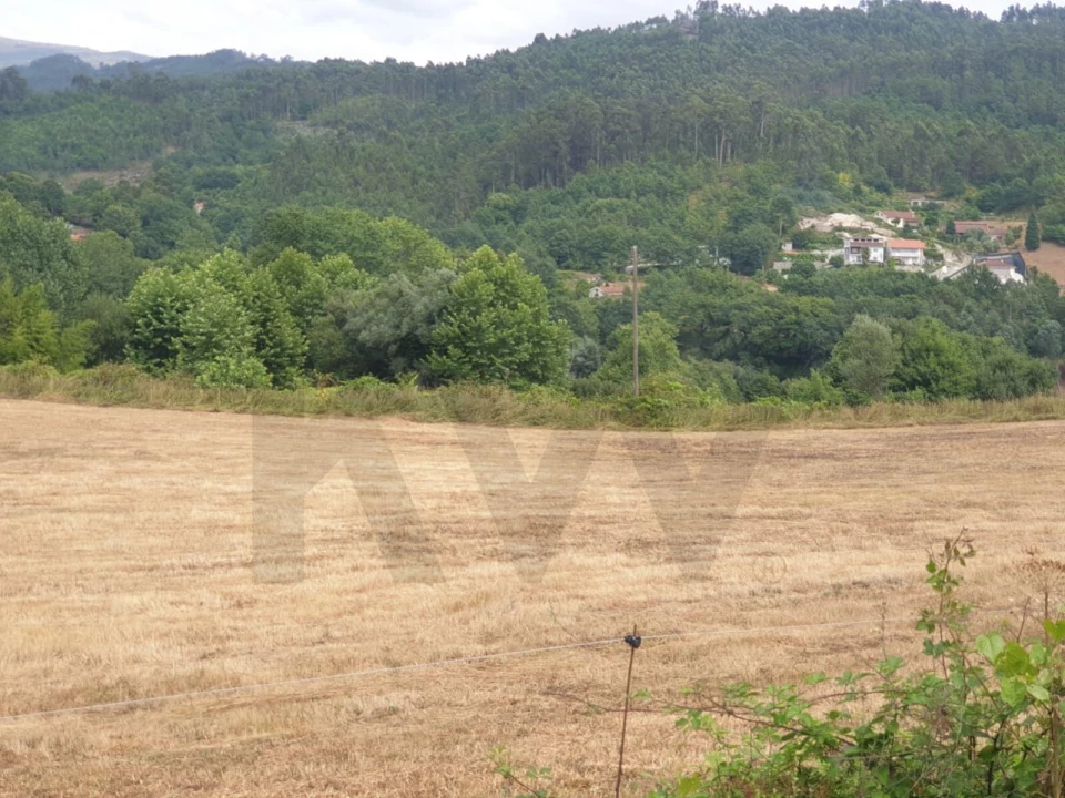 Terreno para Venda em Mosteiro Foto 18