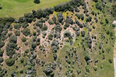 Terreno para Venda em Luz
