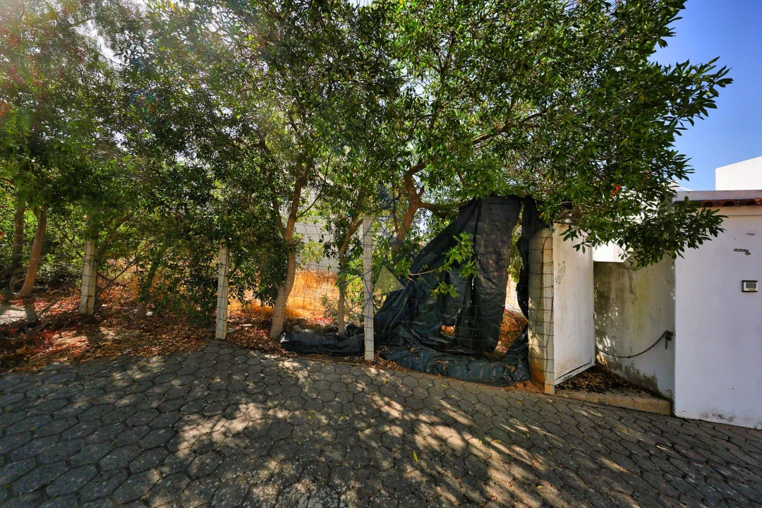 Terreno para Venda em Estômbar e Parchal Foto 6