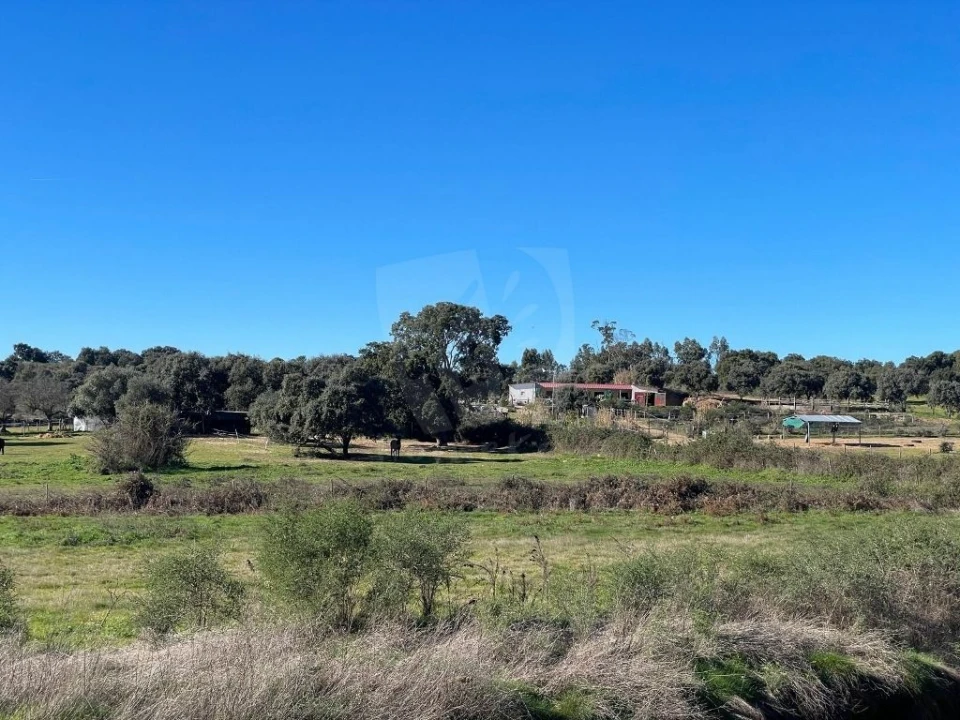Quinta T1 para Venda em Castelo Branco Foto 41