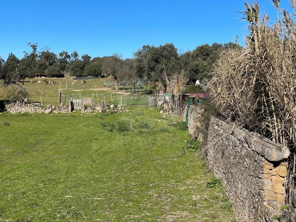 Quinta T1 para Venda em Castelo Branco Foto 64