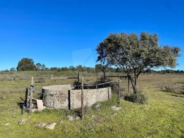 Quinta T1 para Venda em Castelo Branco
