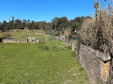Quinta T1 para Venda em Castelo Branco