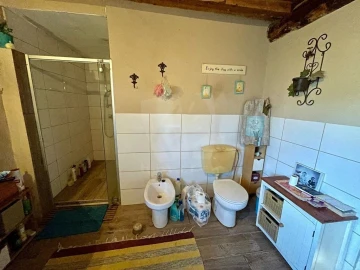 Quinta T1 para Venda em Castelo Branco