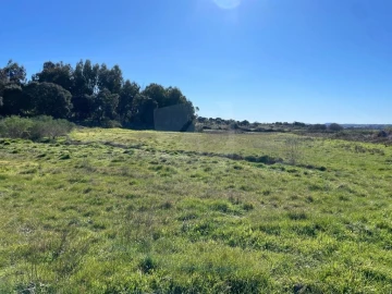 Quinta T1 para Venda em Castelo Branco