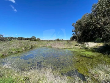 Quinta T1 para Venda em Castelo Branco