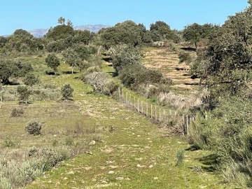 Quinta T1 para Venda em Castelo Branco