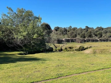 Quinta T1 para Venda em Castelo Branco