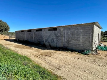 Quinta T1 para Venda em Castelo Branco