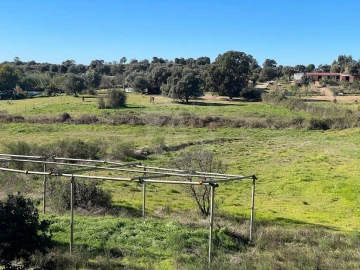 Quinta T1 para Venda em Castelo Branco