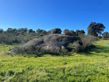 Quinta T1 para Venda em Castelo Branco