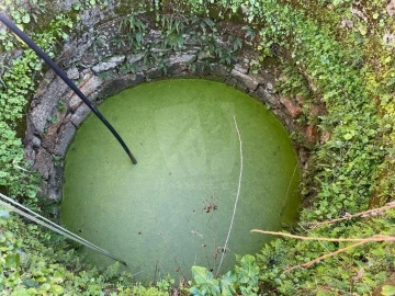 Quinta T1 para Venda em Castelo Branco