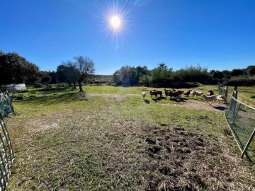 Quinta T1 para Venda em Castelo Branco