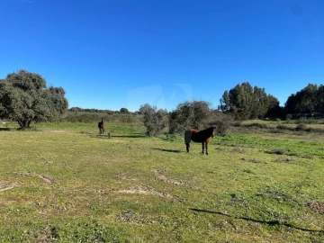 Quinta T1 para Venda em Castelo Branco