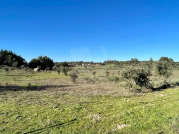 Quinta T1 para Venda em Castelo Branco