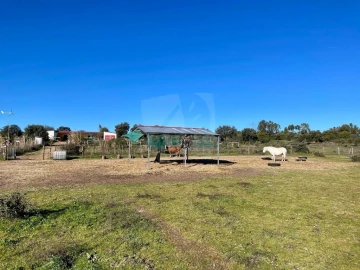 Quinta T1 para Venda em Castelo Branco