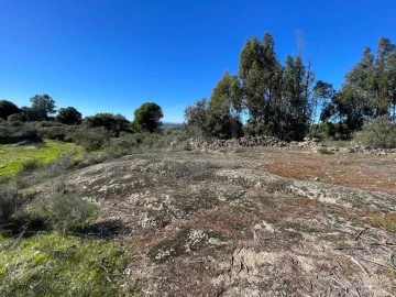 Quinta T1 para Venda em Castelo Branco