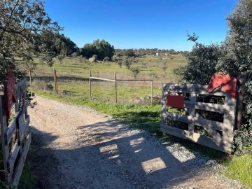 Quinta T1 para Venda em Castelo Branco