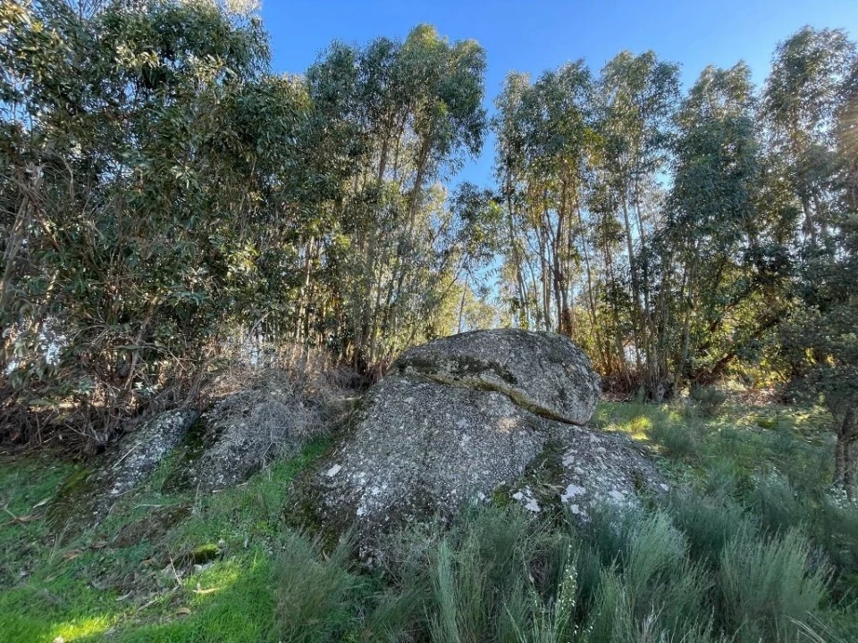 Quinta T1 para Venda em Castelo Branco Foto 21