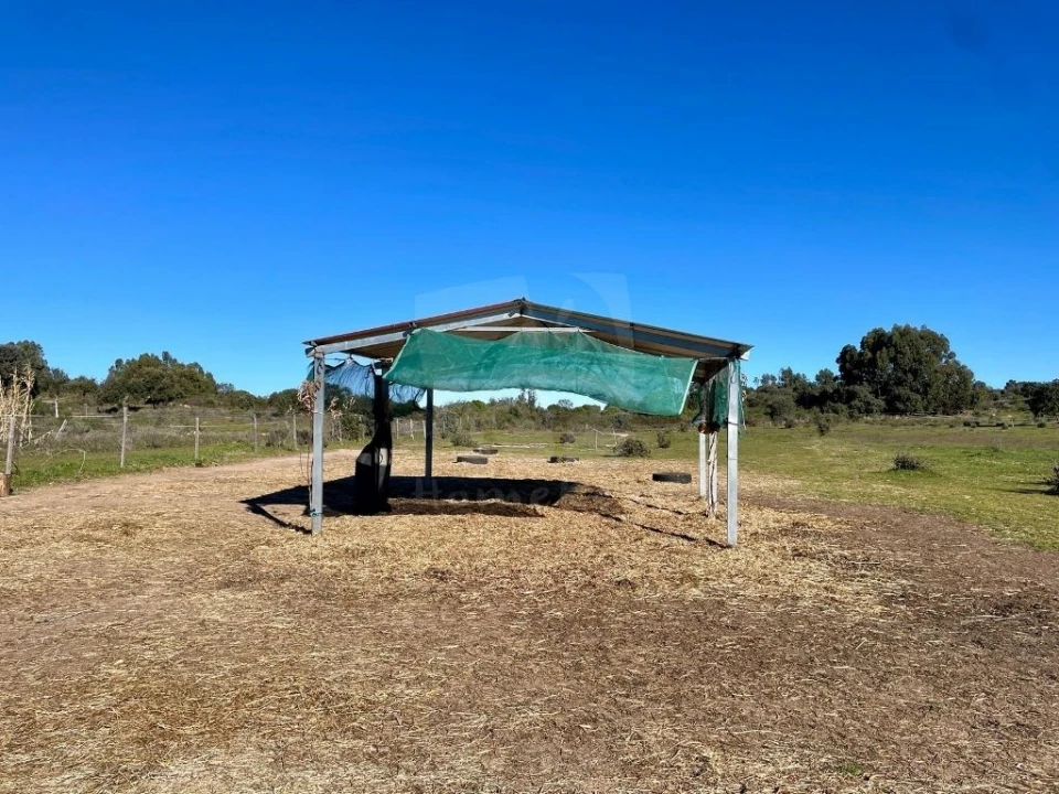Quinta T1 para Venda em Castelo Branco Foto 45