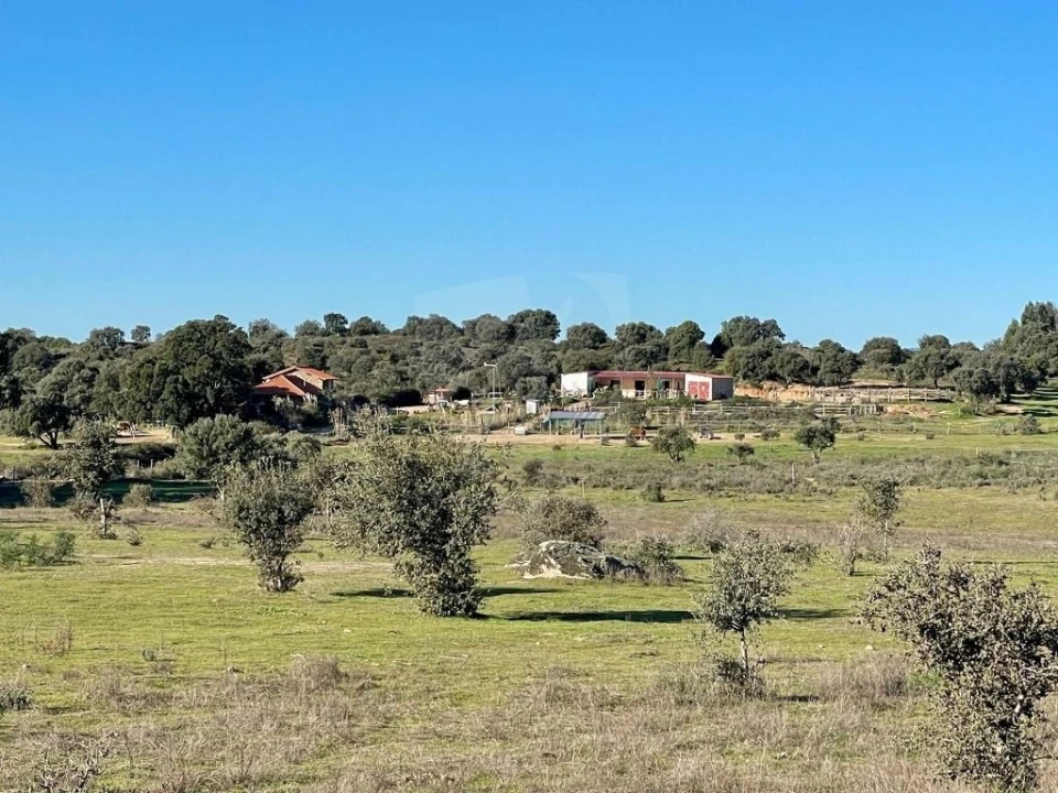 Quinta T1 para Venda em Castelo Branco Foto 24