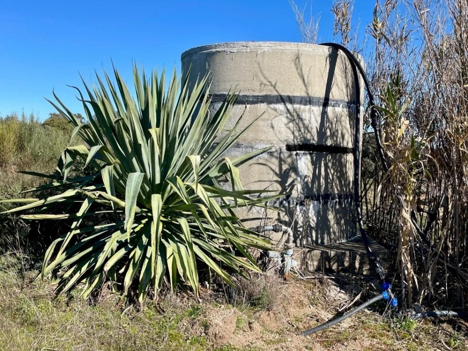 Quinta T1 para Venda em Castelo Branco Foto 56