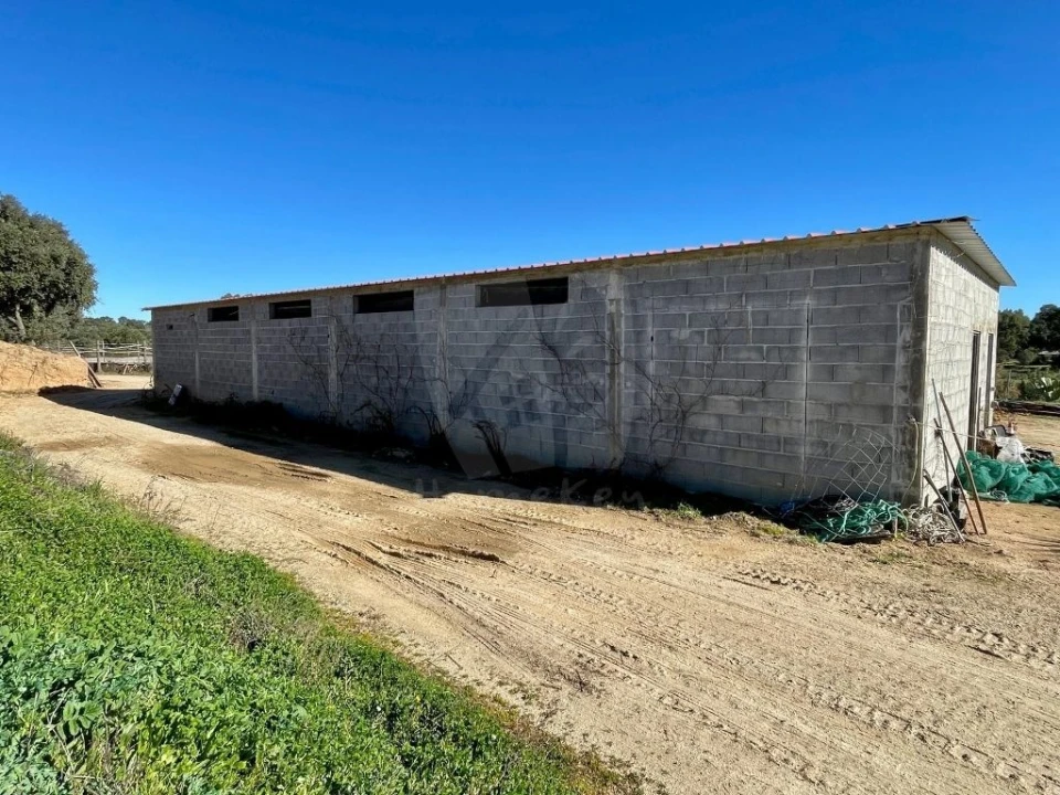 Quinta T1 para Venda em Castelo Branco Foto 55