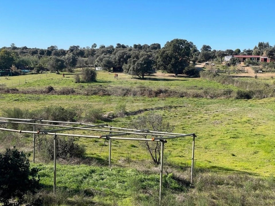 Quinta T1 para Venda em Castelo Branco Foto 54