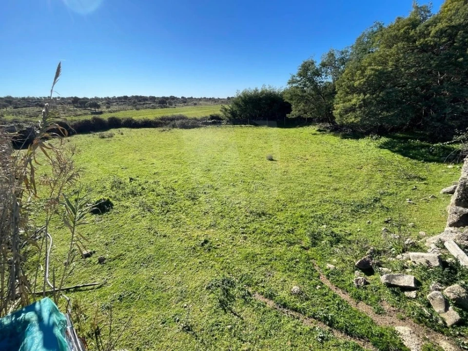 Quinta T1 para Venda em Castelo Branco Foto 33