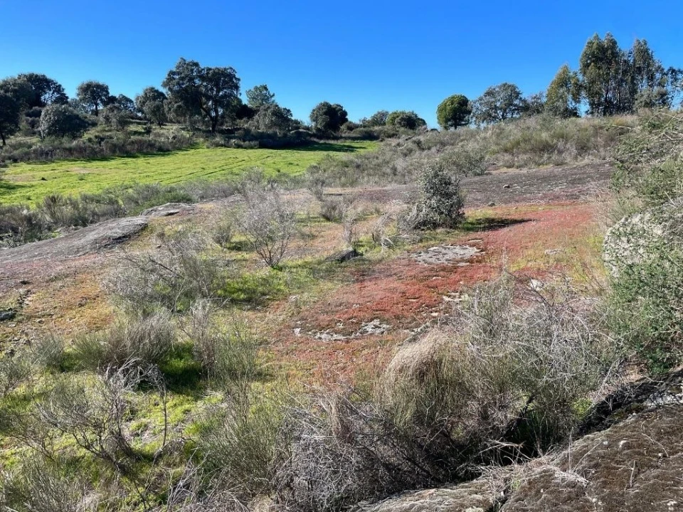 Quinta T1 para Venda em Castelo Branco Foto 20