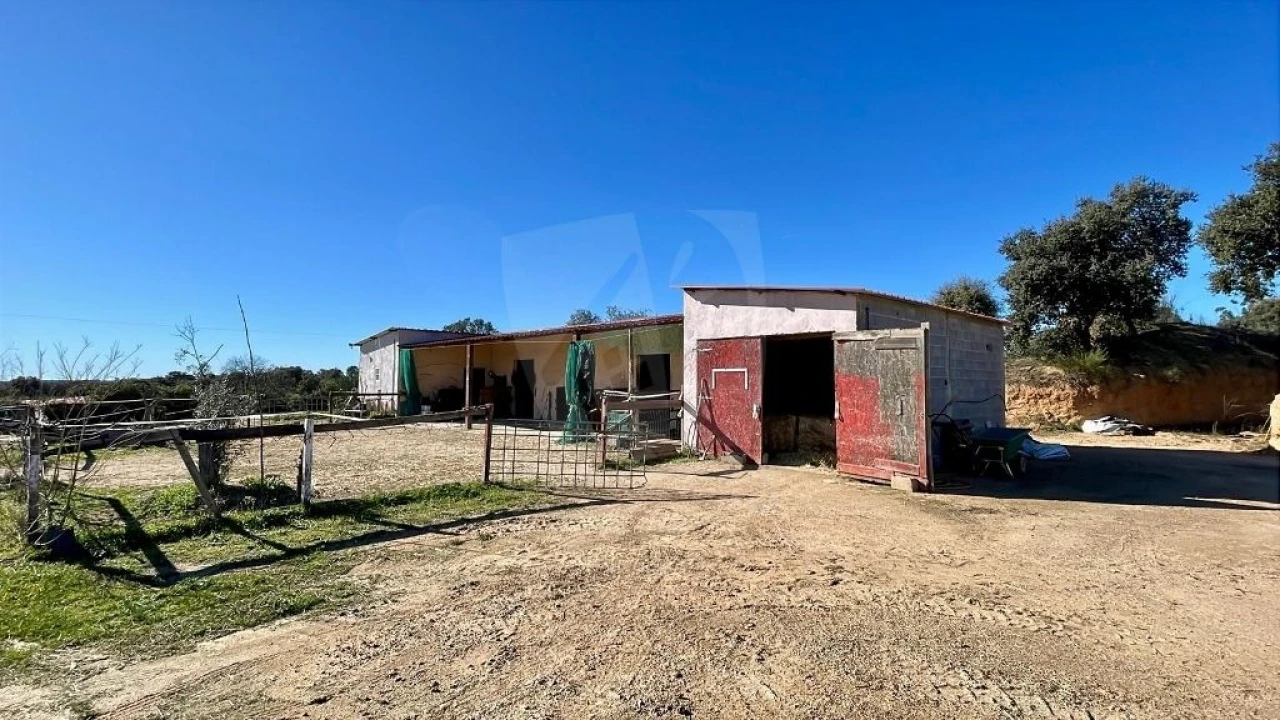 Quinta T1 para Venda em Castelo Branco Foto 49