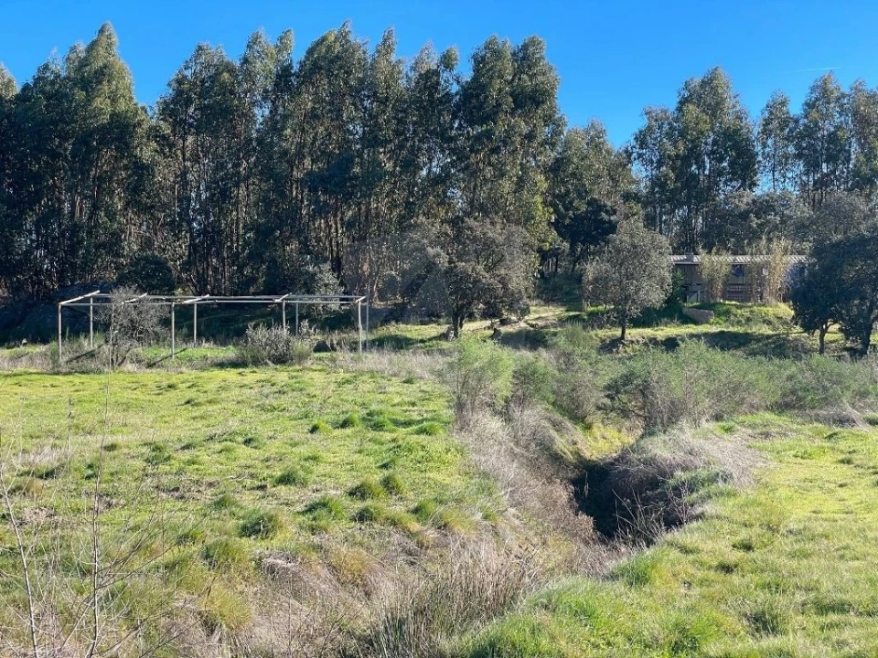 Quinta T1 para Venda em Castelo Branco Foto 65