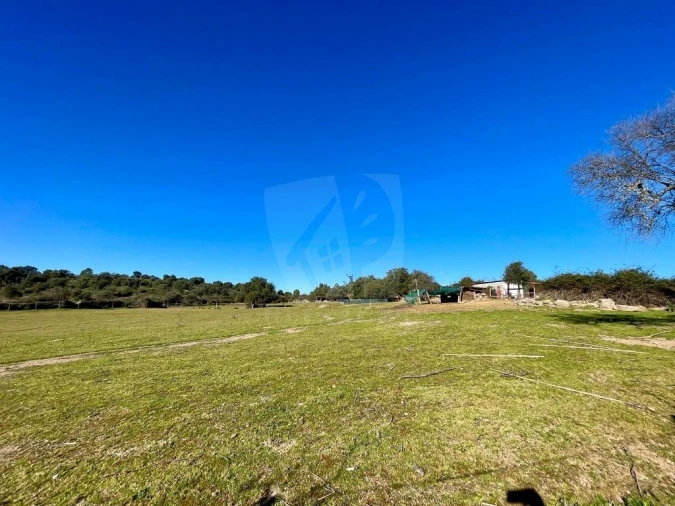 Quinta T1 para Venda em Castelo Branco Foto 58