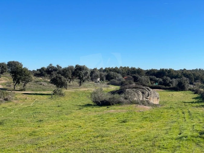 Quinta T1 para Venda em Castelo Branco Foto 67