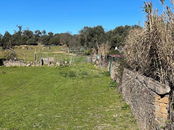 Quinta T1 para Venda em Castelo Branco Foto 64
