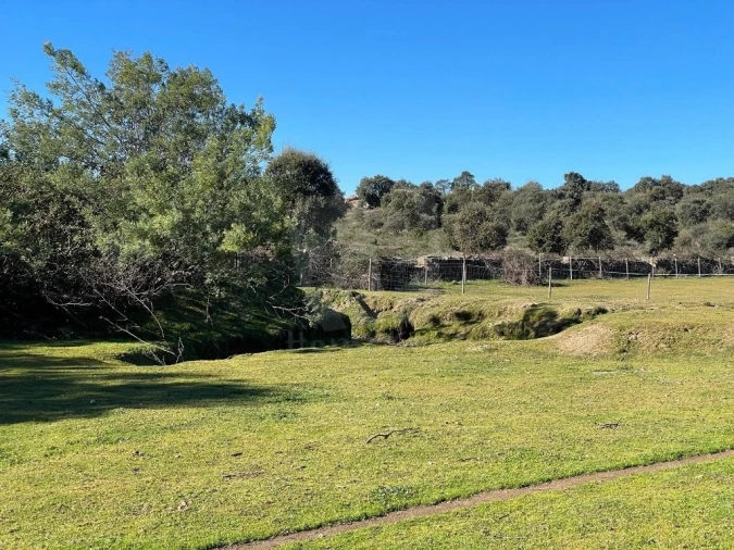 Quinta T1 para Venda em Castelo Branco Foto 31