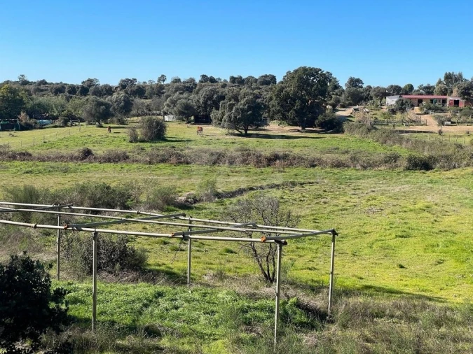 Quinta T1 para Venda em Castelo Branco Foto 54