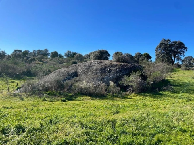 Quinta T1 para Venda em Castelo Branco Foto 68