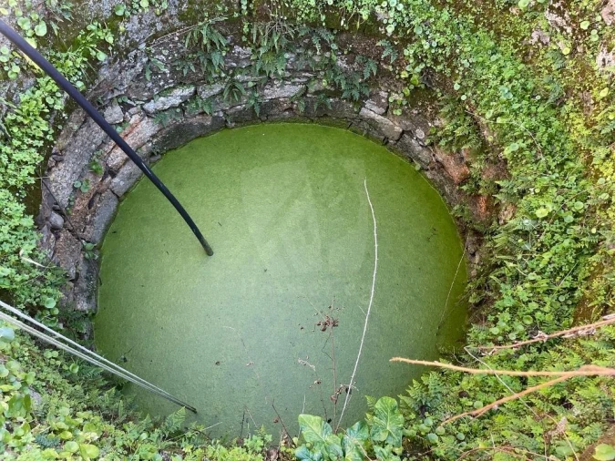 Quinta T1 para Venda em Castelo Branco Foto 61